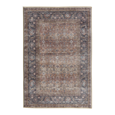 Arradale Soft Plush Machine Washable and Foldable Vintage Distressed Floral Pattern Area Rug Brown