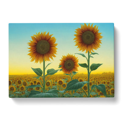 Tremendous Sunflower Field - Wrapped Canvas