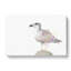 Seagull Bird In The Rainbow In Abstract - Wrapped Canvas-55340819