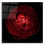 Art mural épique «Red Flower on Black 05» par Tom Quartermaine-101672287