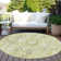 Feeley Washable Oriental Indoor / Outdoor Rug