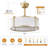 19'' Modern Ceiling Fan With Light