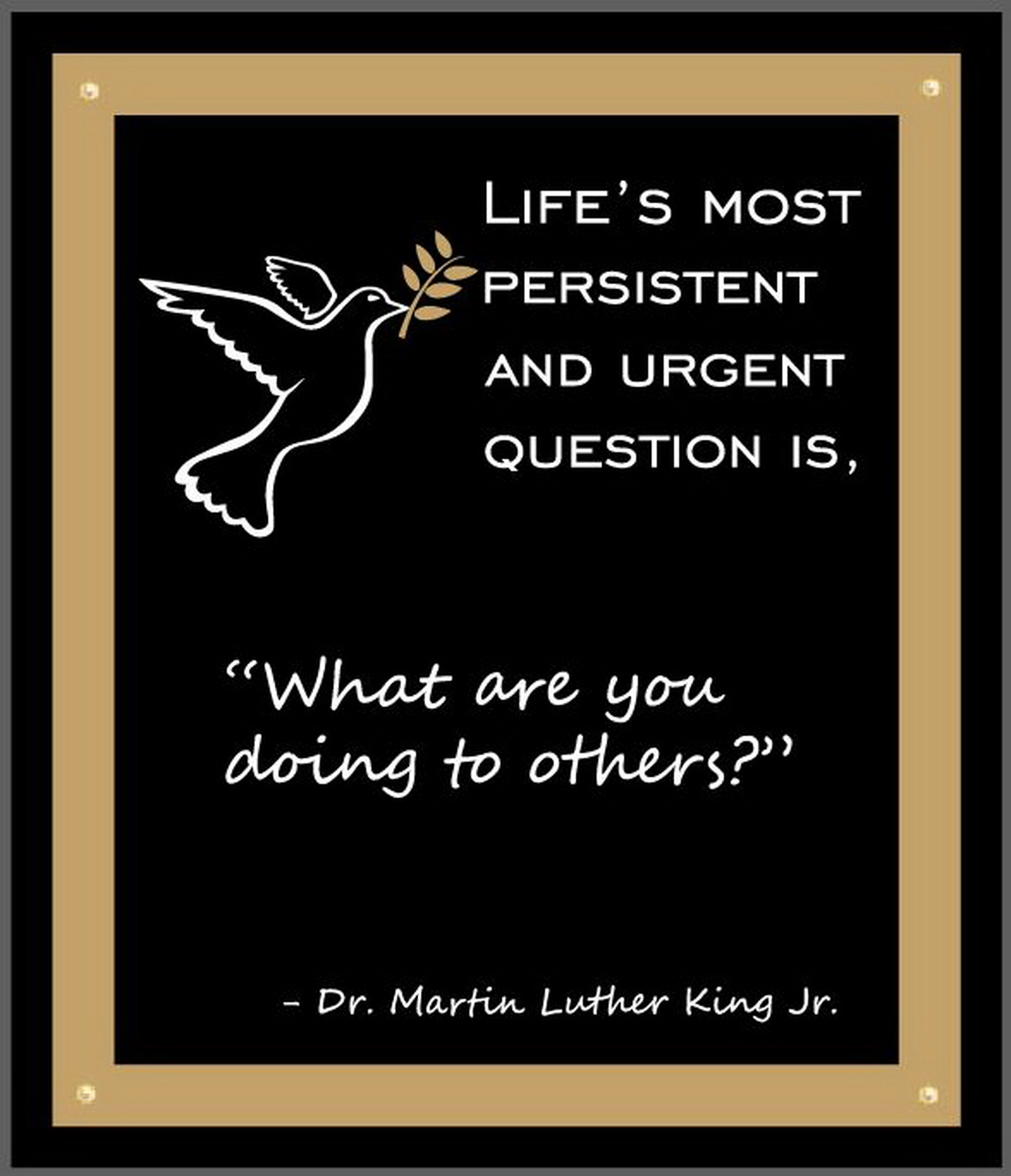 what are you doing for others mlk