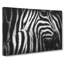 Stripes of the Zebras - Wrapped Canvas-56645696