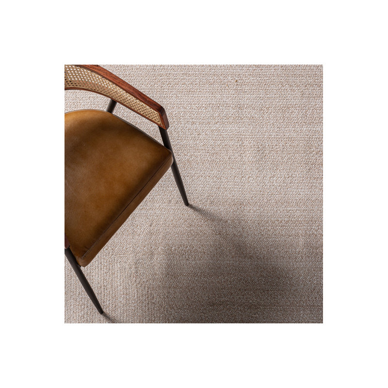 Barika Area Rug