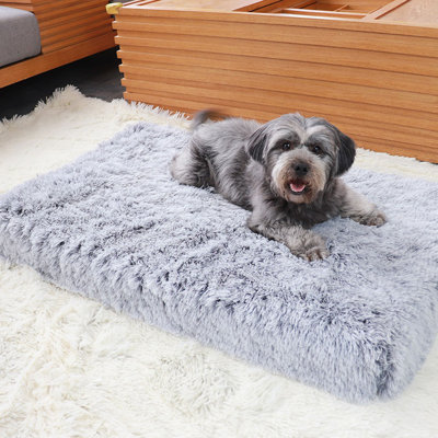 Couverture pour chien pour chien