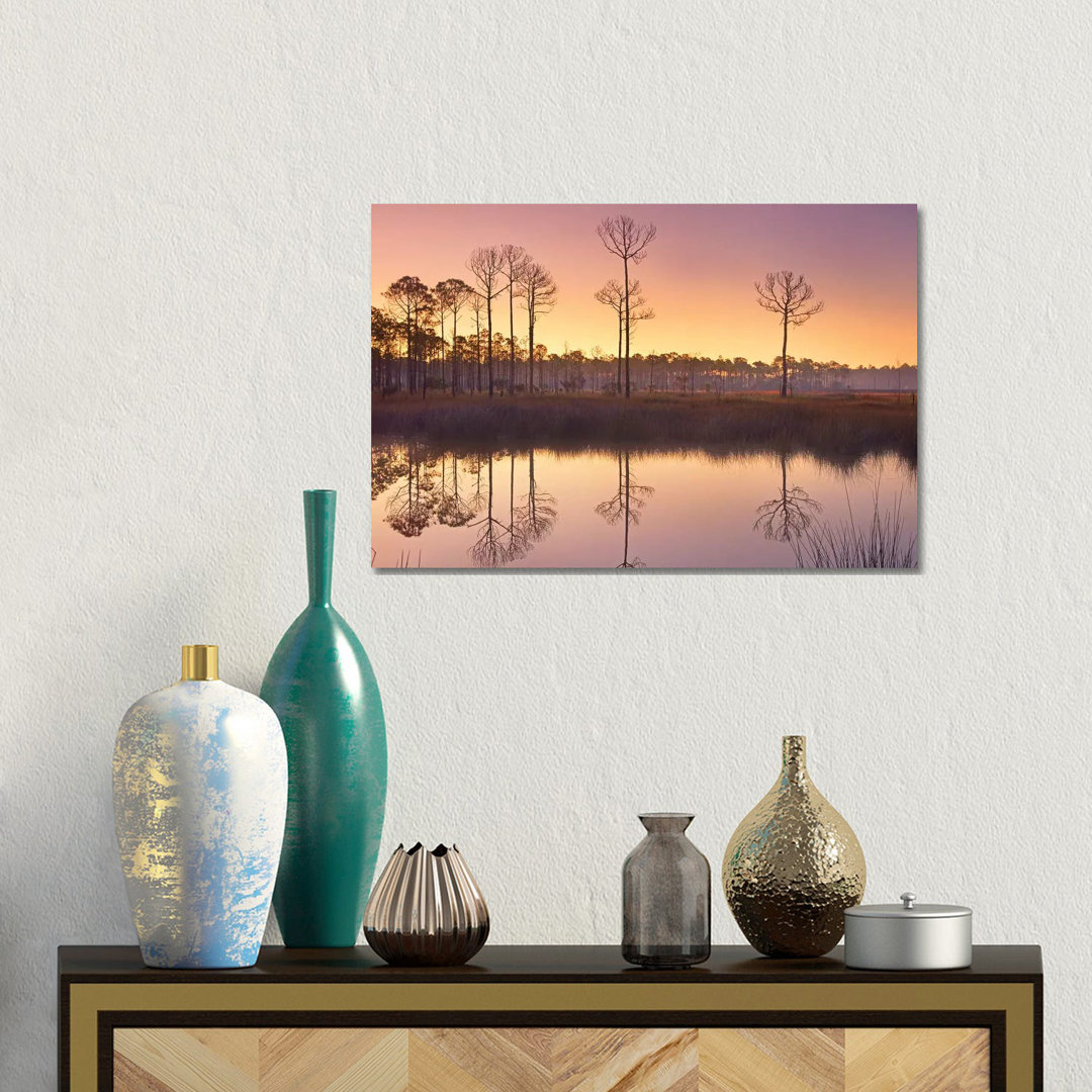 Pineland At Piney Point Near Hagen's Cove, Florida von Tim Fitzharris - Giclée auf Leinwand ohne Rahmen