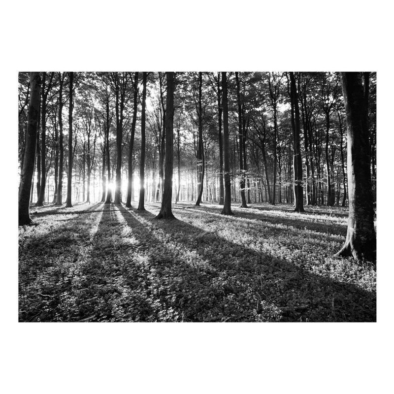 Evaly Wilderness Wall Mural, 124" L x 173" W
