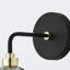 Colello Armed Sconce