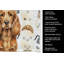 Serviette de cuisine Sussex Spaniel-1234934425