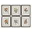 Uttermost Orchid Botanical Framed Prints Set/6