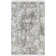 Radtke Oriental Indoor Rug