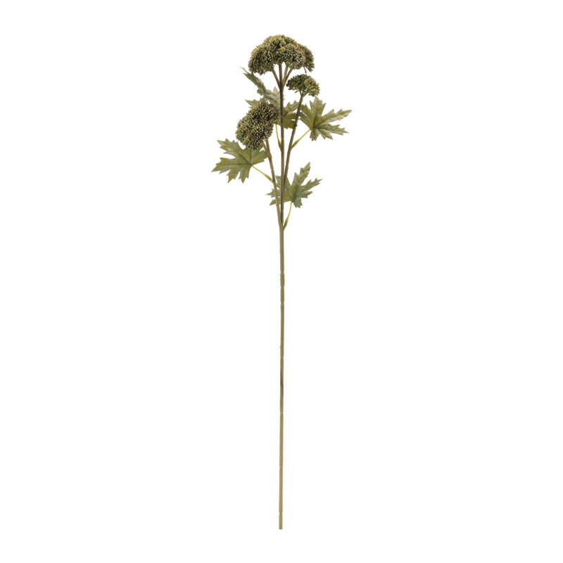 Vaporisateur de plantes grasses Sedum, Vert