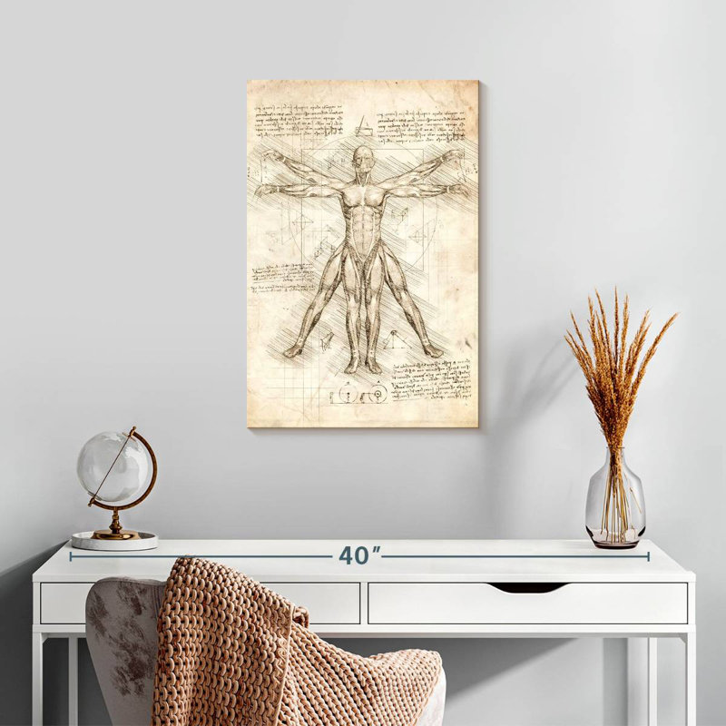 Keiri Vitruvian Man, 24" H x 16" W
