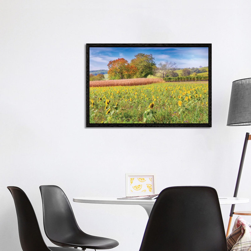 Vines And Sunflowers by Philippe Sainte-Laudy - Print on Canvas, Black Framed, 101.6 cm H x 66.04 cm W
