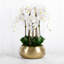 Large Orchid Floral Arrangement in Vase