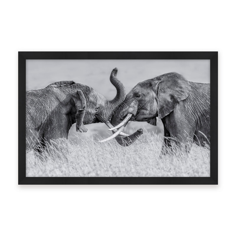 Nature Inspired Elephant Tai Chi by  - Picture Frame Photograph on Paper, 24" H x 36" W x 1.125" D, Black