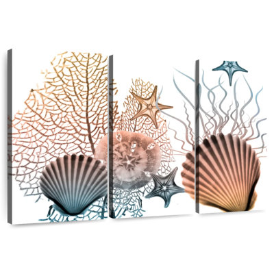 Sea collective Aletra