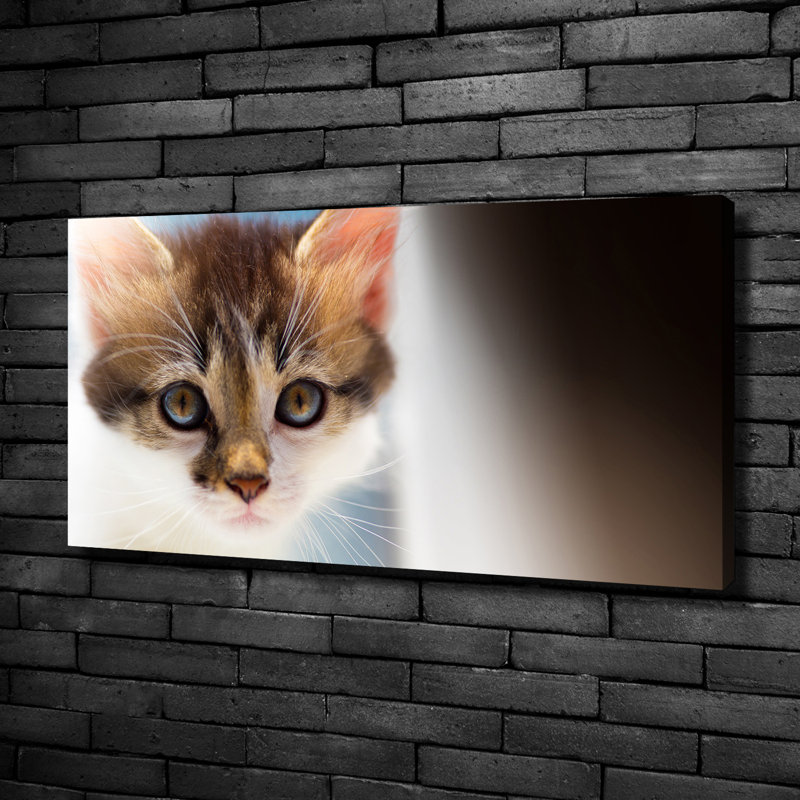 Small Cat - No Frame Print on Canvas