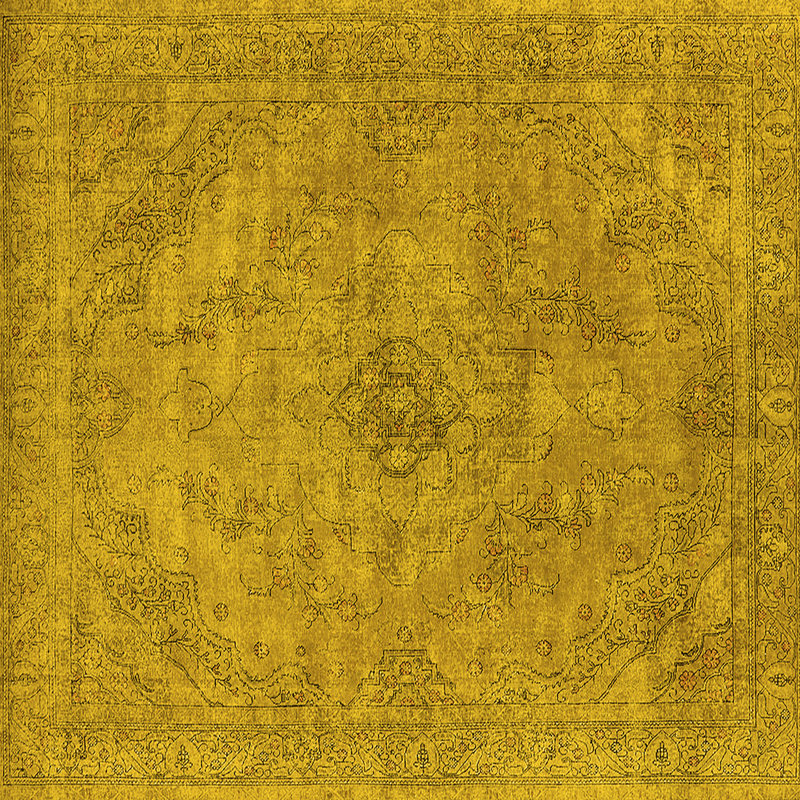 Evagrace Performance Oriental Indoor Rug, Square 6'