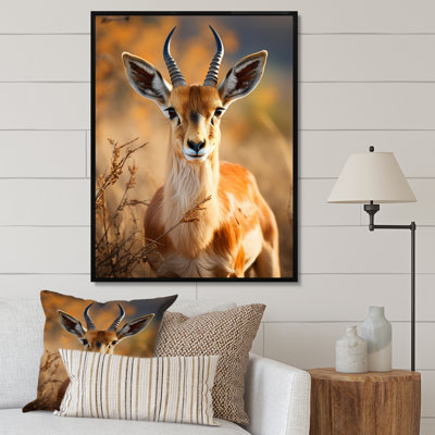 Antilope Kendon, photo I - impression