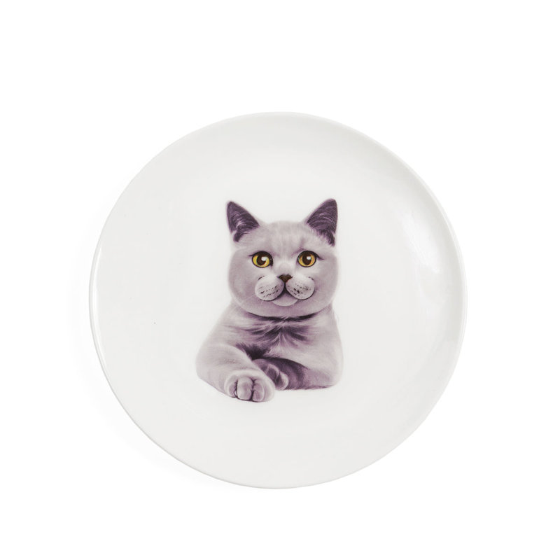 Porcelaine moyenne impression 6 assiettes - Chartreux