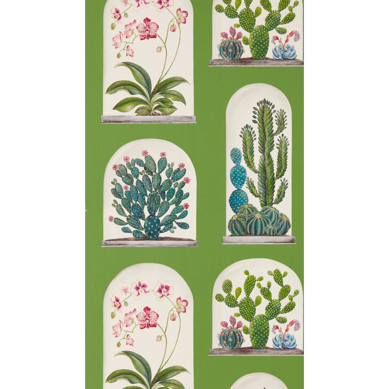 Terrariums 10.05m x 52cm Matte Wallpaper Roll, Green