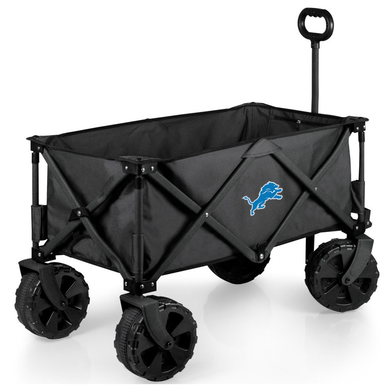 Chariot Adventure, Lions de Detroit