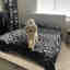 Customer photo 2 of 4