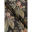Papier peint Begonia Sea Floral Trail-802597302