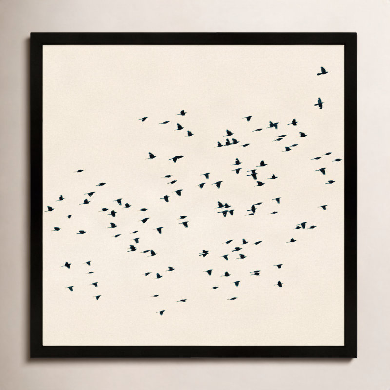 Soaring Print by Peter Dušek, 16" H x 16" W x 1.25" D, Black