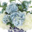 Hydrangeas Arranged in Decorative Vase-2003224449
