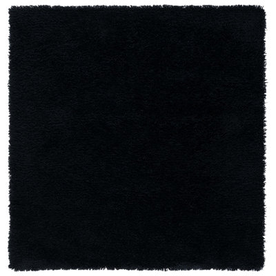 Assar Black Area Rug