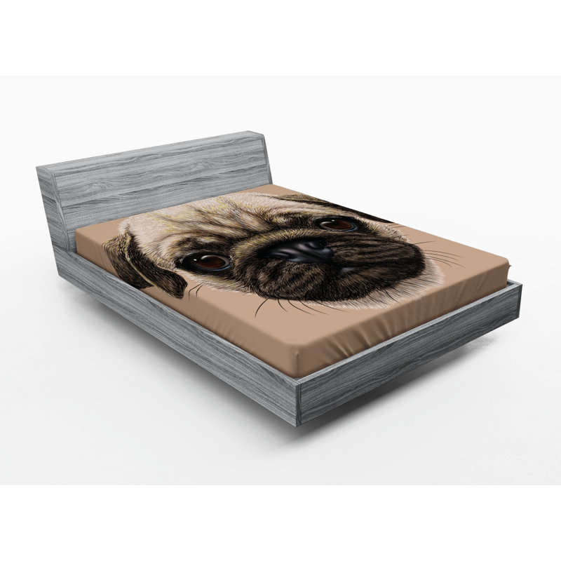 Microfiber Fitted Sheet, Queen Fitted Sheet