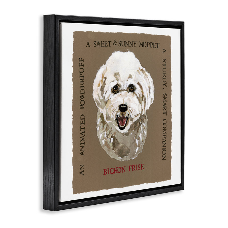 «Fun Bichon Frise phrases», art mural encadré par Nancy Overton, Cadre flottant noir, H 25 po x l 25 po