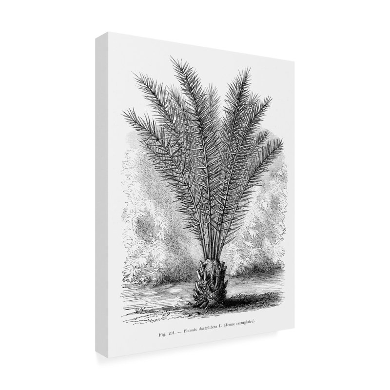 Œuvre de bolognaise ,ologiologia, H 47 po x l 35 po