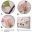 Fleur de pommier délice II - impression-98186670-98186671