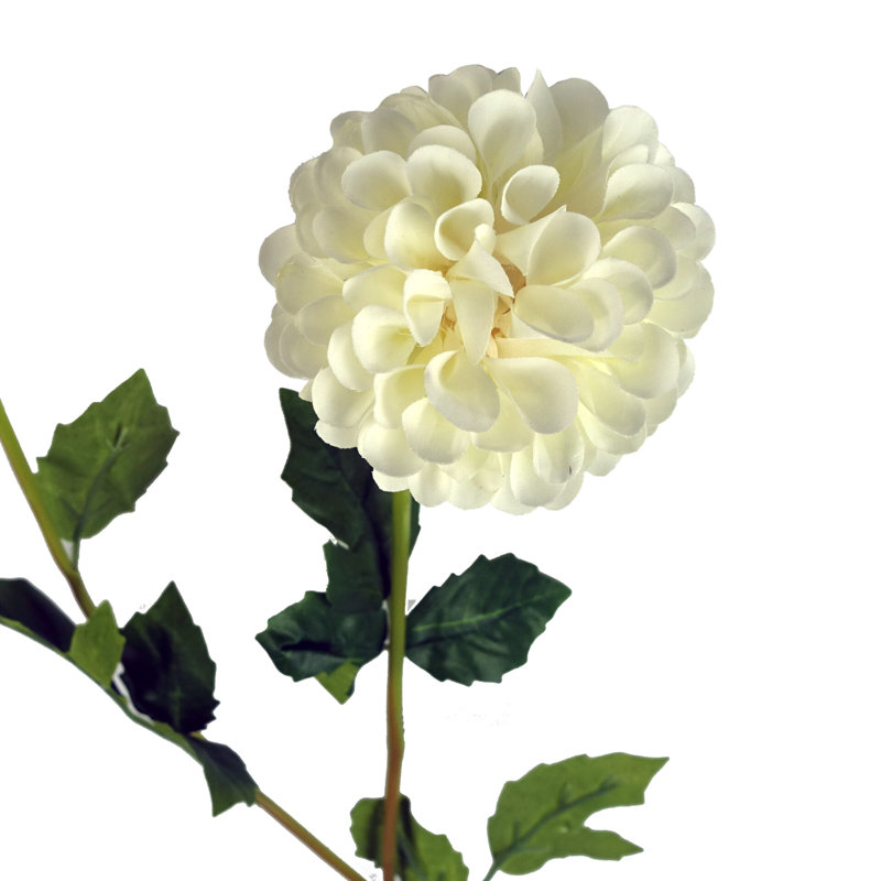 Artificial Arrangement, Cream