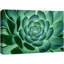Pavillon de lys vert éclatant, photographie florale succulente, botanique, décor zen rustique A54-99543203