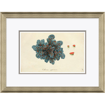 Paul Cezanne " Blue Coral " by Paul Cezanne Graphic Art