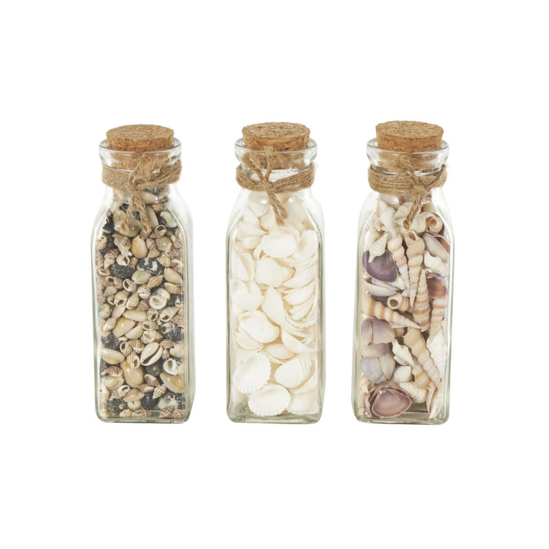 Highland Dunes Glass Orbs & Vase Filler With Various Cream And Brown Seashells And Jute Rope Accents