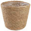 Cashaun Planter-1028848120