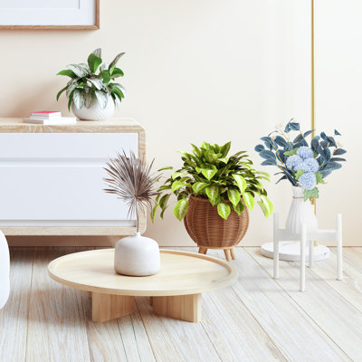 Support à plante d'intérieur et d'extérieur en bois 11,9 po x 12,5 po Nabytok