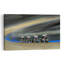 Velodrome Contemporary Horse Wall Art Print-2074616804