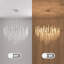 Eckhardt Modern Chandelier Crystal Light, Luxury Crystal Pendant Light, Dimmable Round Crystal Pendant（silver 80cm）-1951694626-1951694654