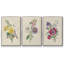 Bouquet de jardin antique I-91887328-91887325