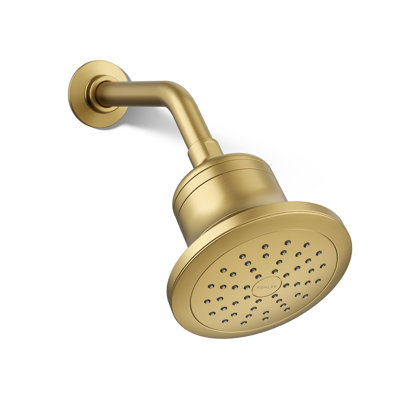 Pomme de douche filtrée à fonction unique Cinq 1,75 gallons par minute