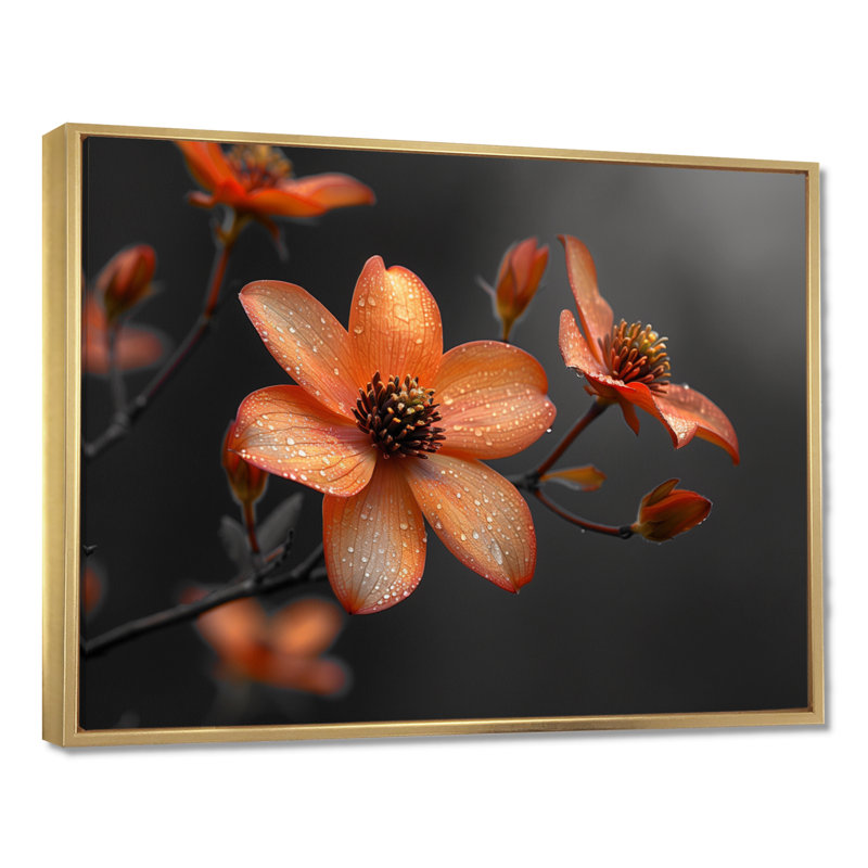 Fleur d'été cornouiller monochrome orange noir II - cornouiller, Toile avec cadre flottant or, H 34 po x l 44 po x P 1,5 po