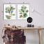 «Soft Eucalyptus Plant Ombre Leaves», ensemble de 2 giclées par Melissa Wang-2004379150-2004379151