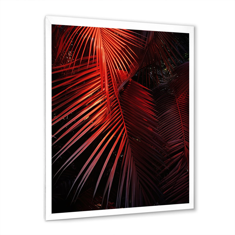 " Monochrome Red Plams Photo I ", White Framed, 40" H x 30" W x 1.5" D
